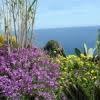 Giardino Botanico Ponza